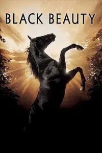 Poster to the movie "Black Beauty" #152825