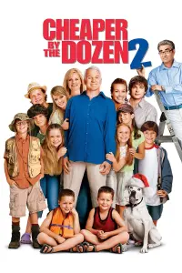 Poster to the movie "Cheaper by the Dozen 2" #85302