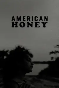 Poster to the movie "American Honey" #697371