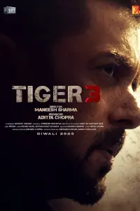 Poster to the movie "Tiger 3" #333106