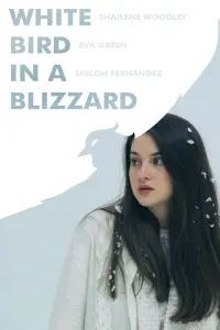 Poster to the movie "White Bird in a Blizzard" #524348