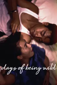 Poster to the movie "Days of Being Wild" #144104