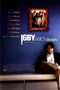 Poster to the movie "Igby Goes Down" #353239