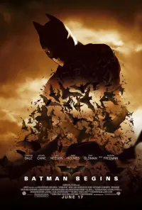 Poster to the movie "Batman Begins" #201322