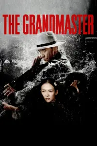 Poster to the movie "The Grandmaster" #275664