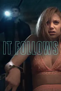 Poster to the movie "It Follows" #39322