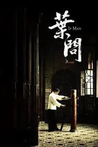 Poster to the movie "Ip Man" #132516