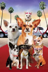 Poster to the movie "Beverly Hills Chihuahua 2" #664041