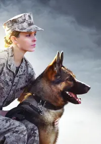 Poster to the movie "Megan Leavey" #228008