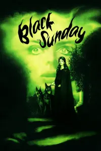 Poster to the movie "Black Sunday" #211565