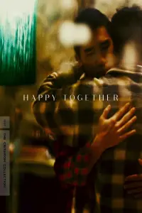 Poster to the movie "Happy Together" #155169