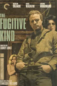 Poster to the movie "The Fugitive Kind" #159483