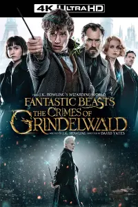 Poster to the movie "Fantastic Beasts: The Crimes of Grindelwald" #43174