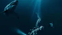 Backdrop to the movie "47 Meters Down" #338065