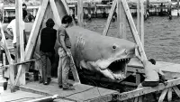 Backdrop to the movie "The Shark Is Still Working: The Impact & Legacy of "Jaws"" #594737