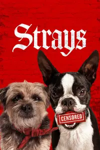 Poster to the movie "Strays" #12989