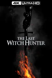 Poster to the movie "The Last Witch Hunter" #49234