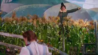 Backdrop to the movie "The Wizard of Oz" #629635