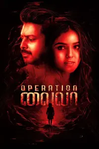 Poster to the movie "Operation Laila" #366687