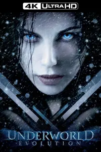 Poster to the movie "Underworld: Evolution" #83187