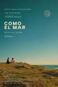 Poster to the movie "Como el mar" #366540