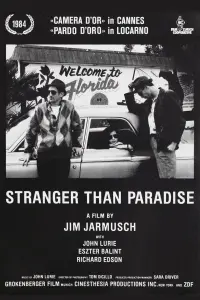 Poster to the movie "Stranger Than Paradise" #237128