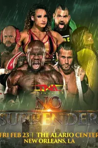 Poster to the movie "TNA No Surrender 2024" #366456