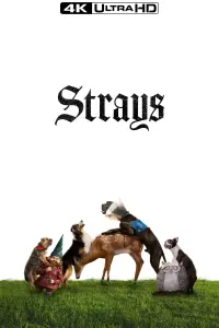 Poster to the movie "Strays" #13002