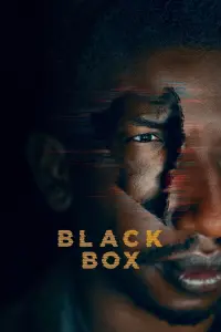 Poster to the movie "Black Box" #133368