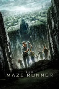 Poster to the movie "The Maze Runner" #7905