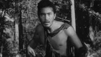 Backdrop to the movie "Rashomon" #670957