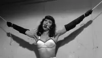 Backdrop to the movie "The Notorious Bettie Page" #437211