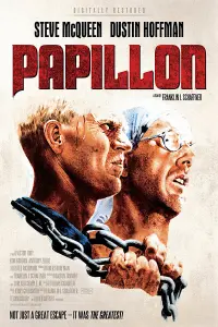 Poster to the movie "Papillon" #110652