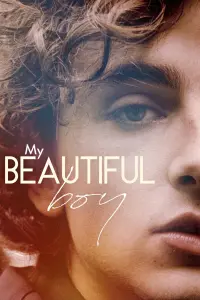 Poster to the movie "Beautiful Boy" #98542