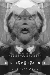 Poster to the movie "The Elephant Man" #124284