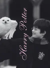 Poster to the movie "Harry Potter and the Philosopher