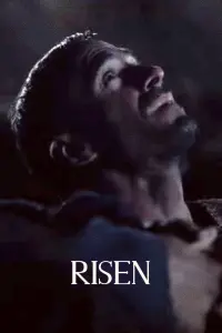 Poster to the movie "Risen" #300235