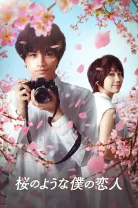 Poster to the movie "Love Like the Falling Petals" #456502