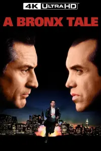 Poster to the movie "A Bronx Tale" #34136