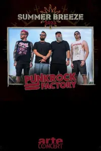 Poster to the movie "Punk Rock Factory - Summer Breeze 2024" #559923