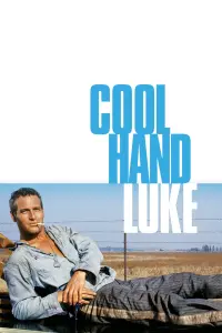 Poster to the movie "Cool Hand Luke" #102961