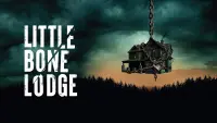 Backdrop to the movie "Little Bone Lodge" #338455