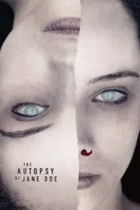 Poster to the movie "The Autopsy of Jane Doe" #69880