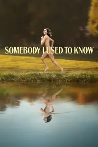 Poster to the movie "Somebody I Used to Know" #68180