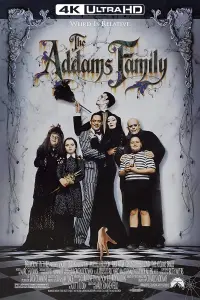 Poster to the movie "The Addams Family" #55360