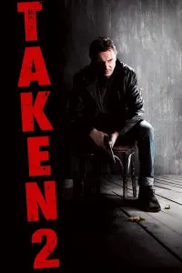 Poster to the movie "Taken 2" #43252