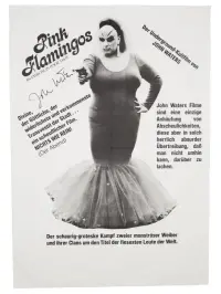 Poster to the movie "Pink Flamingos" #296596