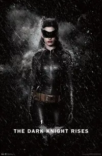 Poster to the movie "The Dark Knight Rises" #155425