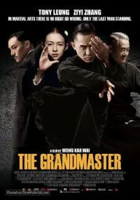 Poster to the movie "The Grandmaster" #275673