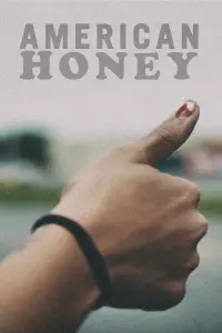 Poster to the movie "American Honey" #261743